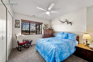 537 Chapparal Trail, Florissant, CO 80816 - Photo 16