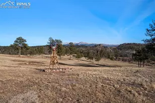 537 Chapparal Trail, Florissant, CO 80816 - Photo 34