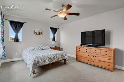 10007 Vervain View, Colorado Springs, CO 80924 - Photo 10