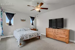 10007 Vervain View, Colorado Springs, CO 80924 - Photo 10