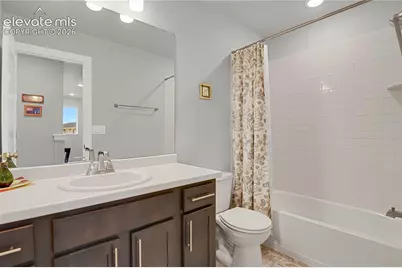 10007 Vervain View, Colorado Springs, CO 80924 - Photo 14