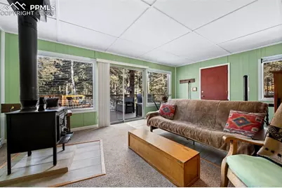 267 Kutsu Ridge Road, Florissant, CO 80816 - Photo 4