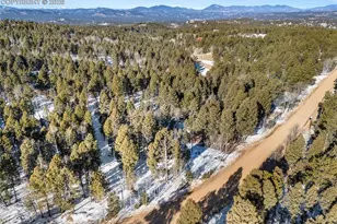 267 Kutsu Ridge Rd, Florissant, CO 80816 - Photo 26