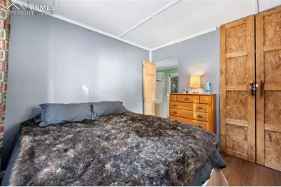 267 Kutsu Ridge Road, Florissant, CO 80816 - Photo 12