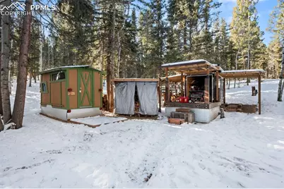 267 Kutsu Ridge Road, Florissant, CO 80816 - Photo 16