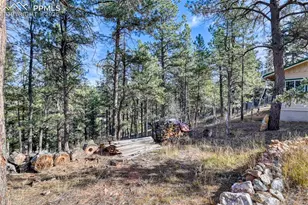 281 Mesa Dr, Florissant, CO 80816 - Photo 14