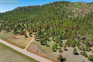 5463 High Park Rd, Florissant, CO 80816 - Photo 38