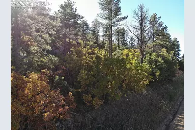 Oakdale Terrace, Palmer Lake, CO 80133 - Photo 2