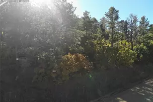 Oakdale Terrace, Palmer Lake, CO 80133 - Photo 1