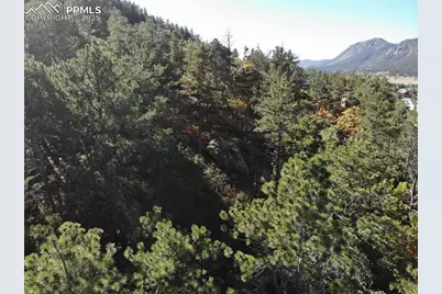 Oakdale Terrace, Palmer Lake, CO 80133 - Photo 6