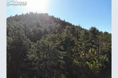 Oakdale Terrace, Palmer Lake, CO 80133 - Photo 20