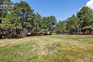 19205 Doewood Dr, Monument, CO 80132 - Photo 34