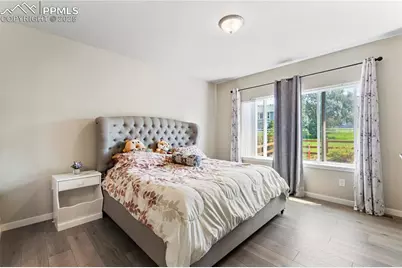 4023 Ivy Hill Drive, Colorado Springs, CO 80922 - Photo 12