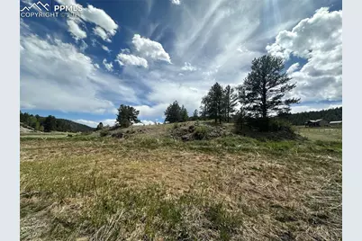 2332 County Road, Florissant, CO 80816 - Photo 14