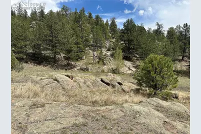 2332 County Road, Florissant, CO 80816 - Photo 6