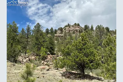 2332 County Road, Florissant, CO 80816 - Photo 10