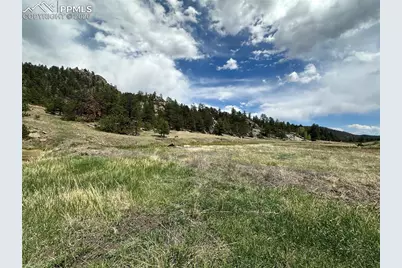 2332 County Road, Florissant, CO 80816 - Photo 2