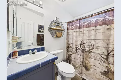 699 Cedar Hills Road, Penrose, CO 81240 - Photo 30