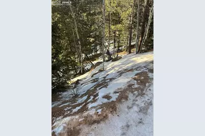 1600 Pikes Peak Drive, Divide, CO 80814 - Photo 4