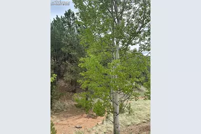 1600 Pikes Peak Drive, Divide, CO 80814 - Photo 2