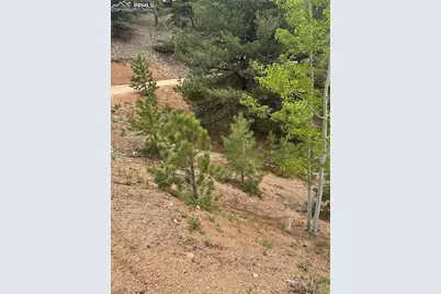 1600 Pikes Peak Drive, Divide, CO 80814 - Photo 1