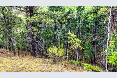 599 Dandy Jim Drive, Cripple Creek, CO 80813 - Photo 26