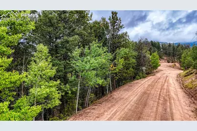 599 Dandy Jim Drive, Cripple Creek, CO 80813 - Photo 12