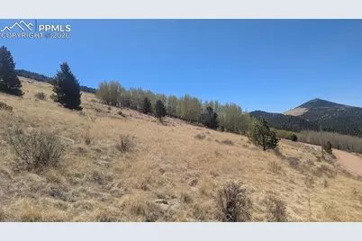 1960 Troy Drive, Cripple Creek, CO 80813 - Photo 2