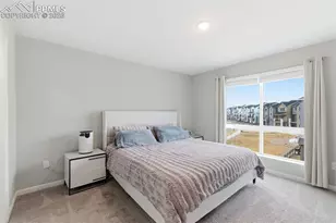 10653 Larimar Pt, Colorado Springs, CO 80908 - Photo 14