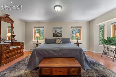 657 Spring Valley Drive, Divide, CO 80814 - Photo 8