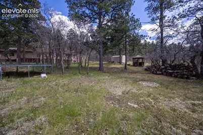 975 Tari Drive, Colorado Springs, CO 80921 - Photo 50