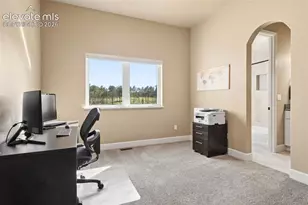 14894 Snowy Pine Point, Colorado Springs, CO 80908 - Photo 32