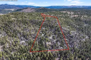 67 Mohawk Cir, Florissant, CO 80816 - Photo 4