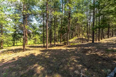 29507 Highway 67, Woodland Park, CO 80863 - Photo 8