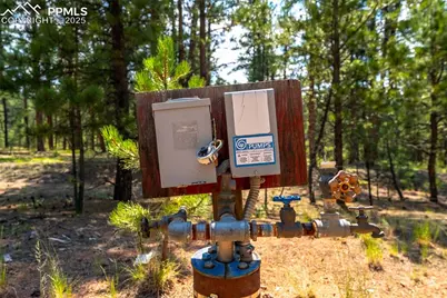 29507 Highway 67, Woodland Park, CO 80863 - Photo 10