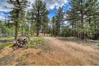 2927 Pathfinder Road, Florissant, CO 80816 - Photo 28