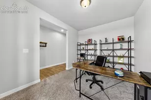 3932 Ryedale Wy, Colorado Springs, CO 80922 - Photo 4