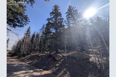 386 Brook Drive, Lake George, CO 80827 - Photo 22