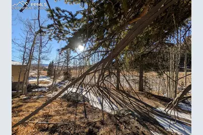 386 Brook Drive, Lake George, CO 80827 - Photo 32