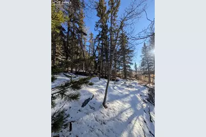 386 Brook Drive, Lake George, CO 80827 - Photo 28