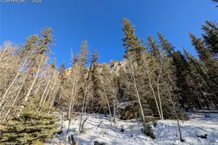 386 Brook Dr, Lake George, CO 80827 - Photo 1