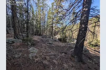 386 Brook Drive, Lake George, CO 80827 - Photo 10