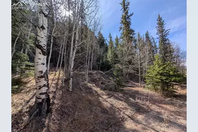 386 Brook Drive, Lake George, CO 80827 - Photo 6