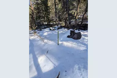 386 Brook Drive, Lake George, CO 80827 - Photo 14