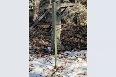 386 Brook Drive, Lake George, CO 80827 - Photo 10