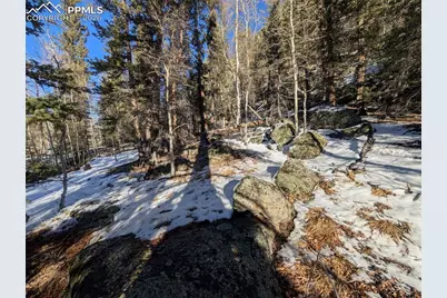 386 Brook Drive, Lake George, CO 80827 - Photo 16