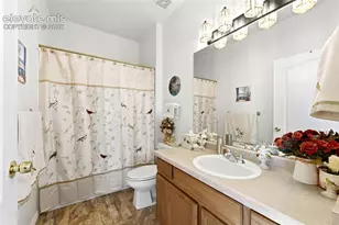 6456 Caddy Point, Colorado Springs, CO 80922 - Photo 16