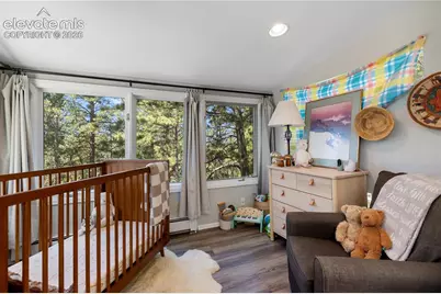 1150 Forest Hill Place, Woodland Park, CO 80863 - Photo 14