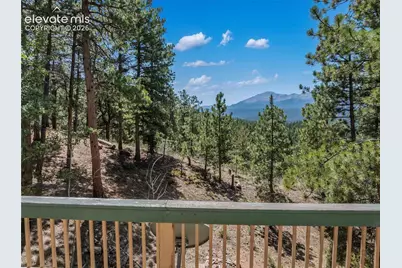 1150 Forest Hill Place, Woodland Park, CO 80863 - Photo 20