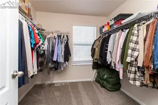 6735 Monterey Pine Loop, Colorado Springs, CO 80927 - Photo 18